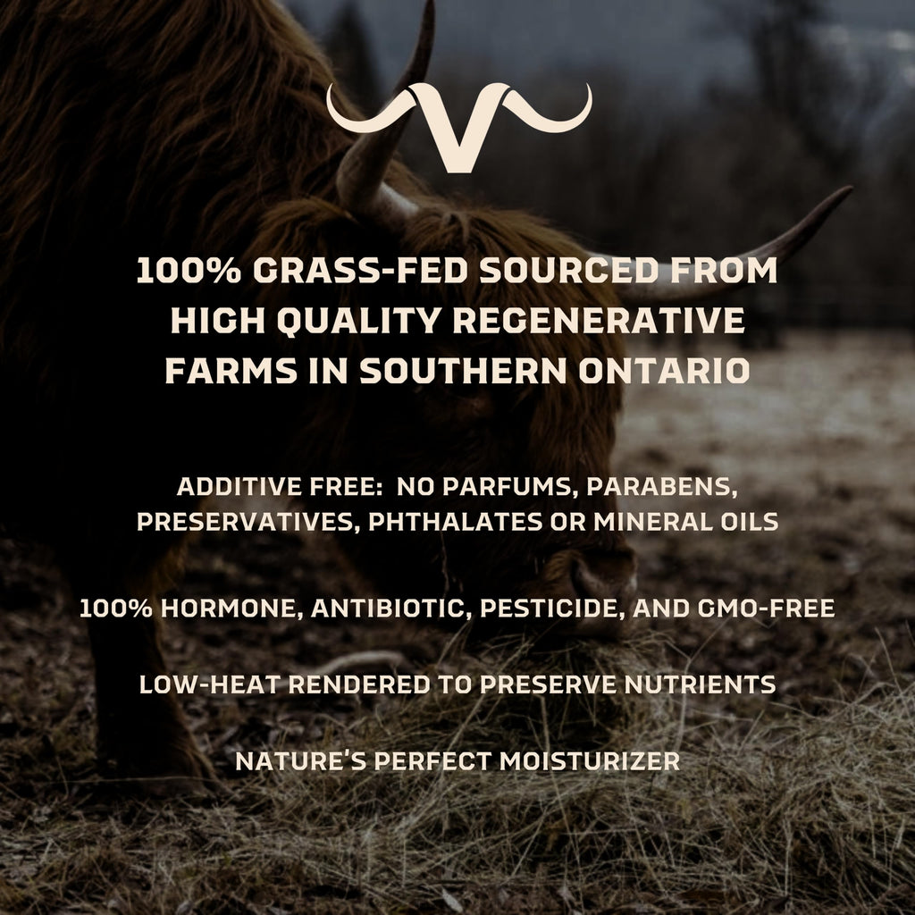 Tallow & Zinc – Protective Balm