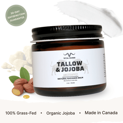 Tallow & Jojoba – Glow Balm