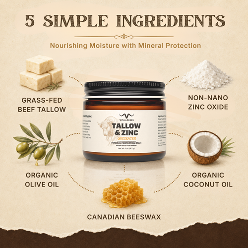 Tallow & Zinc – Protective Balm