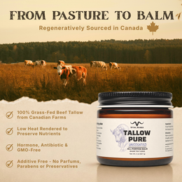 Tallow Pure – One Ingredient Balm