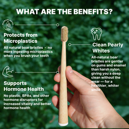 Boar Bristle & Bamboo Toothbrush