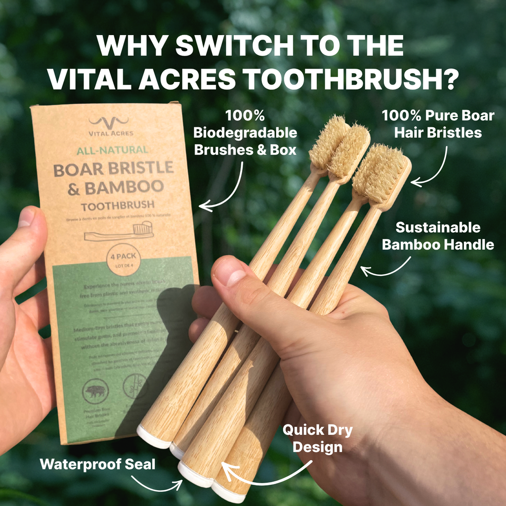 Boar Bristle & Bamboo Toothbrush (4-Pack)