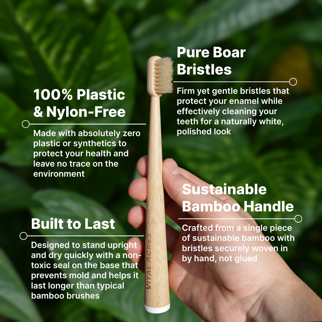 Boar Bristle & Bamboo Toothbrush (4-Pack)