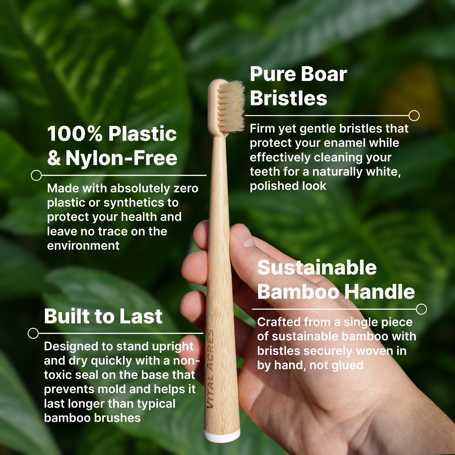 Boar Bristle & Bamboo Toothbrush