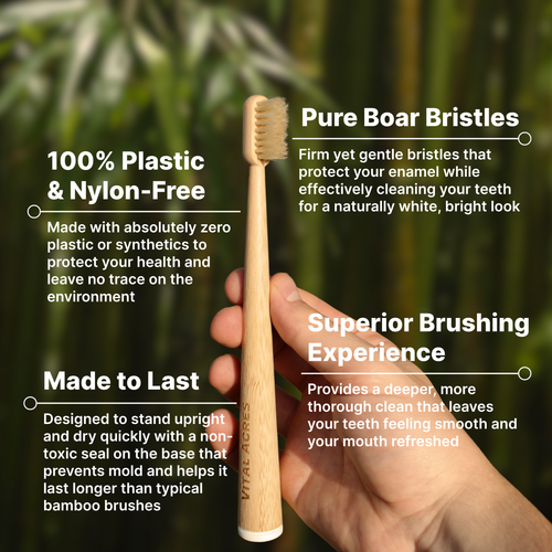 Boar Bristle & Bamboo Toothbrush