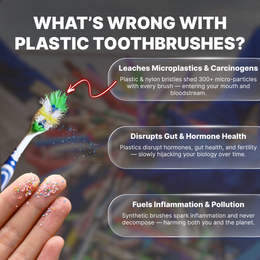 Boar Bristle & Bamboo Toothbrush